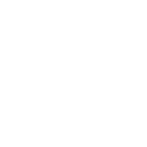 Crusader Type Image